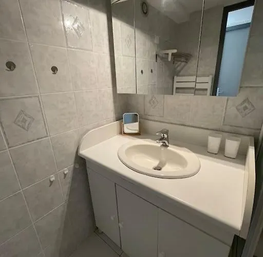 4 à 6 P Proche Télécabine Et Centre La Plagne